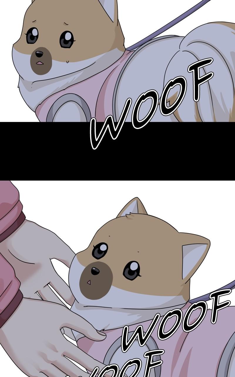 The Dog Diaries Chap 138 - Next Chap 139