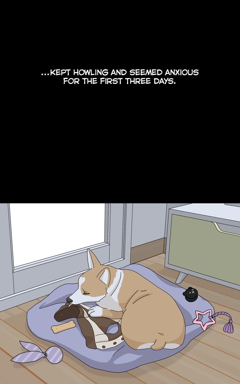 The Dog Diaries Chap 139 - Next Chap 140