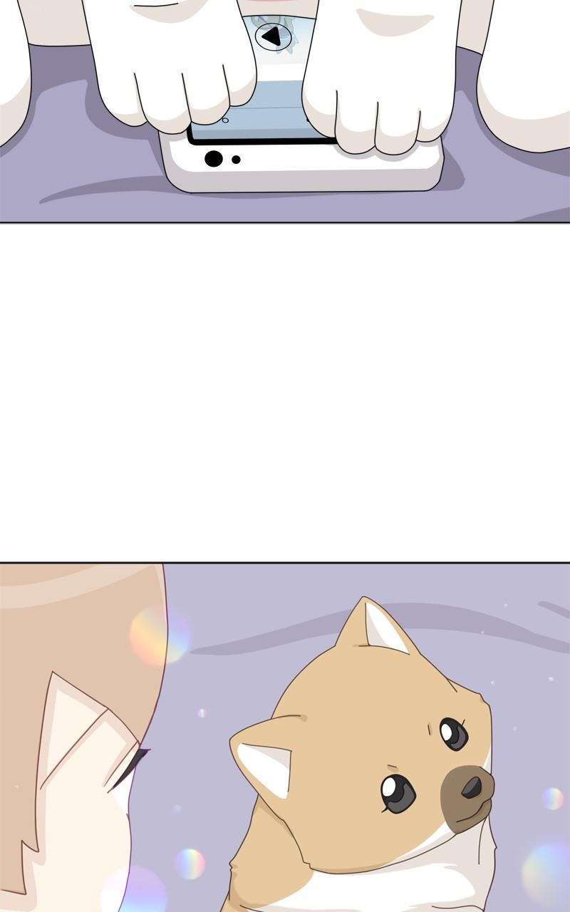 The Dog Diaries Chap 139 - Next Chap 140