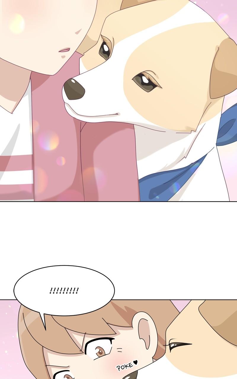 The Dog Diaries Chap 139 - Next Chap 140