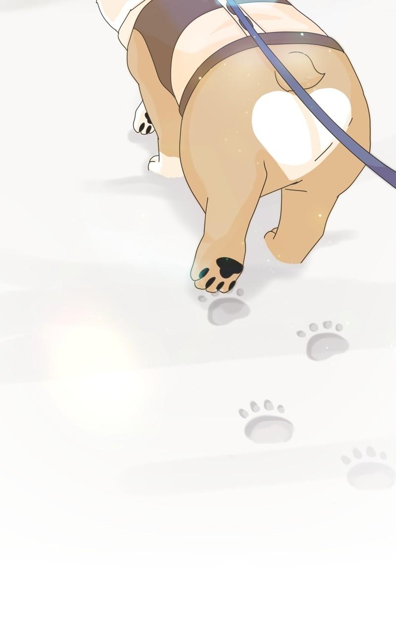 The Dog Diaries Chap 139 - Next Chap 140