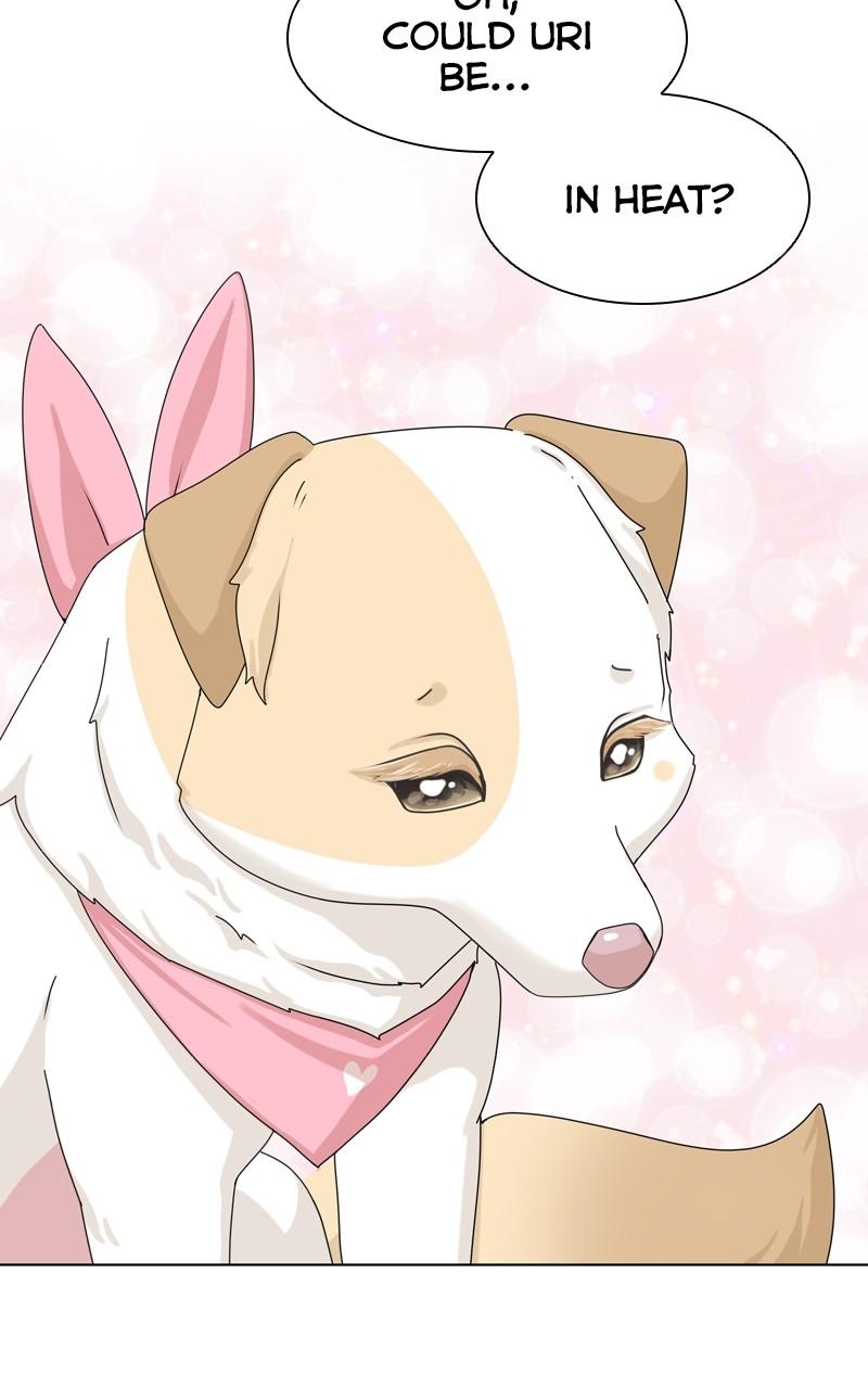 The Dog Diaries Chap 140 - Next Chap 141