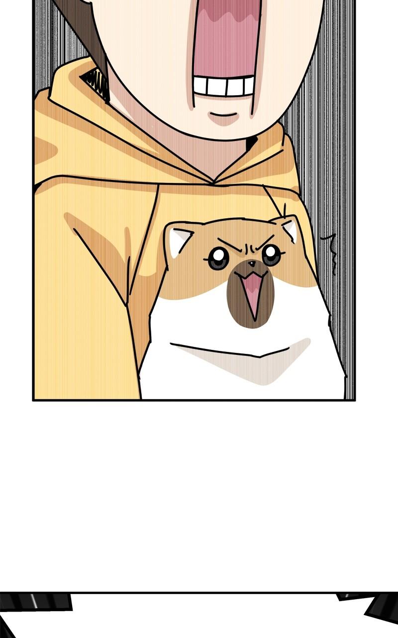 The Dog Diaries Chap 140 - Next Chap 141