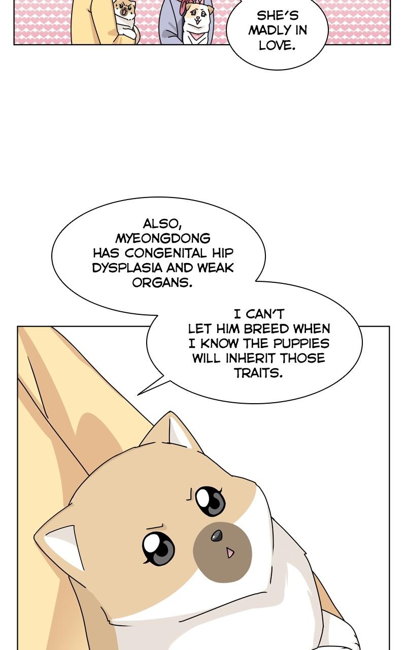 The Dog Diaries Chap 140 - Next Chap 141