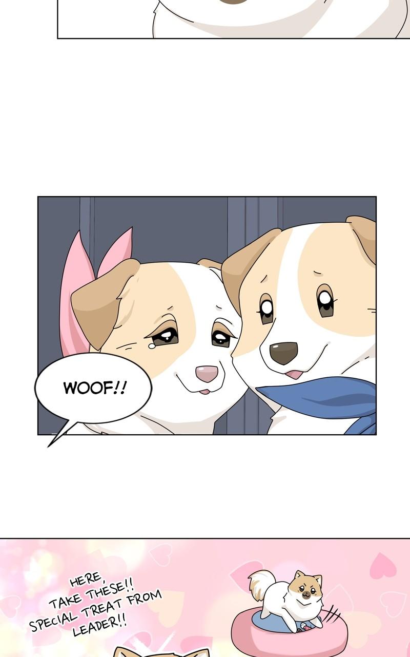The Dog Diaries Chap 141 - Next Chap 142