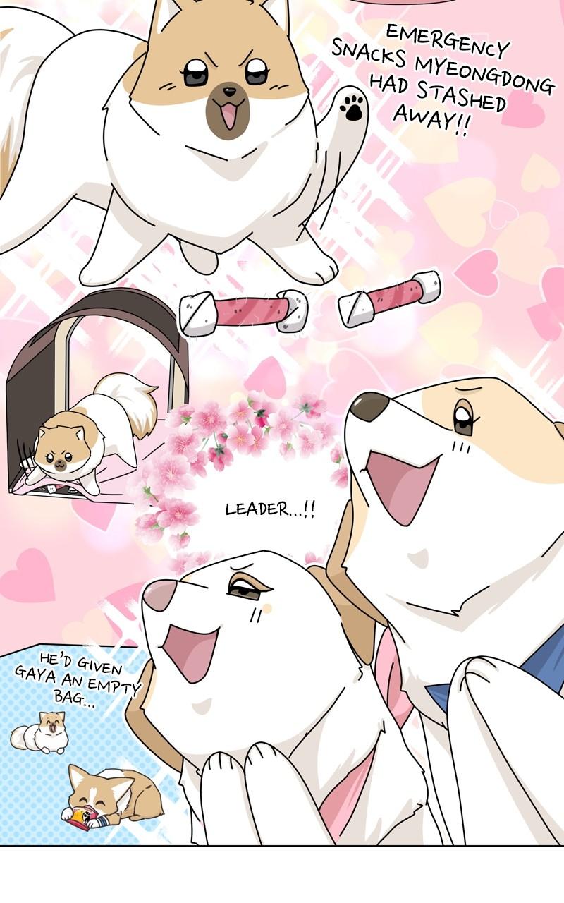 The Dog Diaries Chap 141 - Next Chap 142