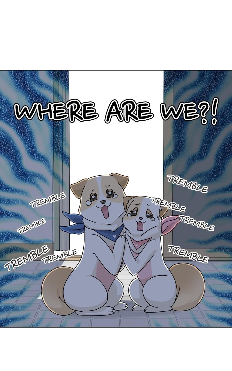 The Dog Diaries Chap 141 - Next Chap 142