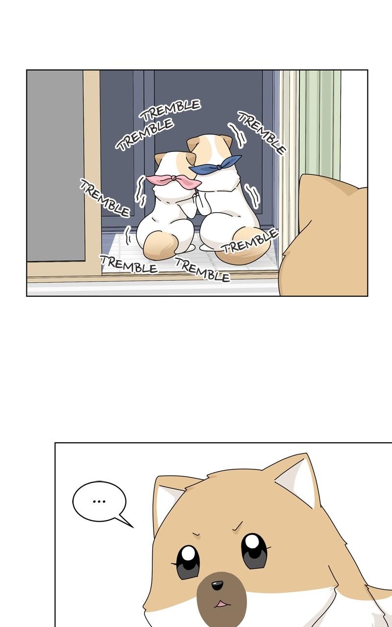 The Dog Diaries Chap 141 - Next Chap 142