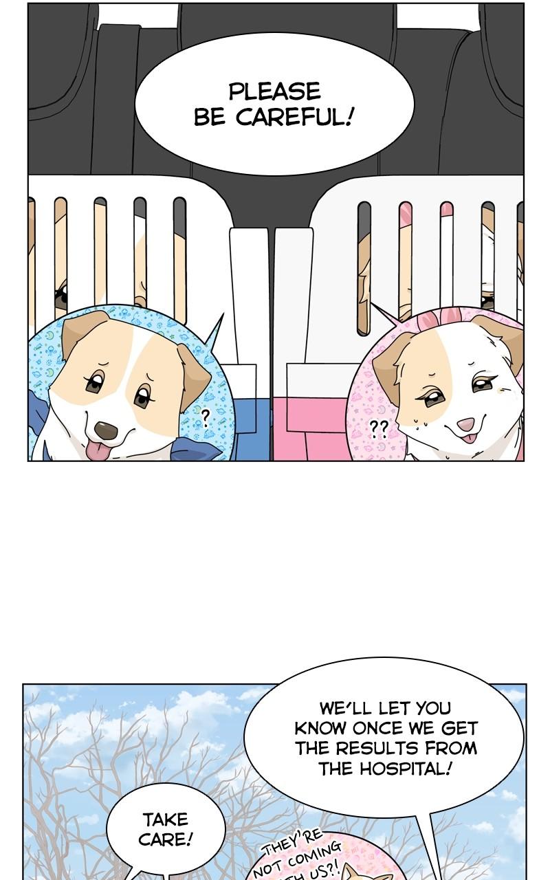 The Dog Diaries Chap 141 - Next Chap 142
