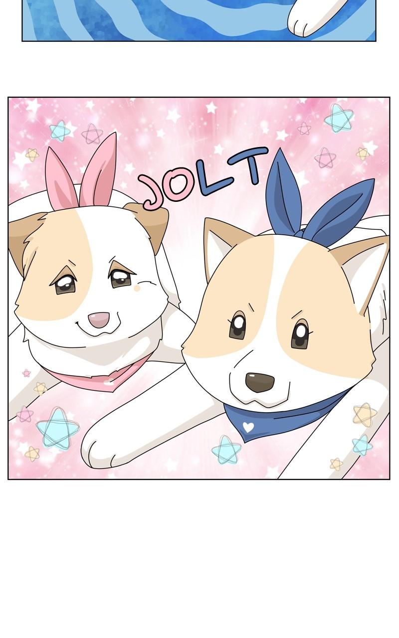 The Dog Diaries Chap 141 - Next Chap 142
