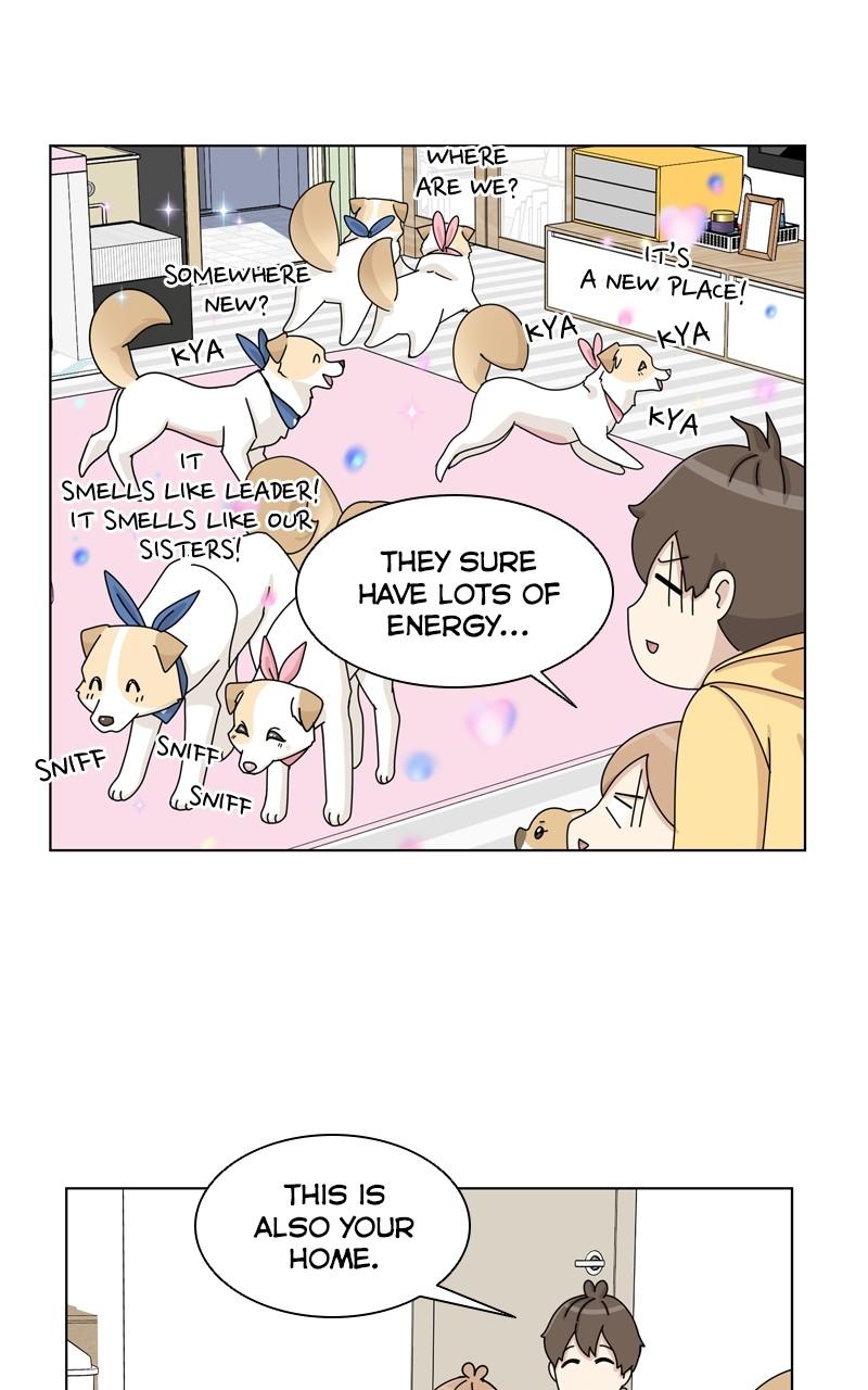 The Dog Diaries Chap 141 - Next Chap 142