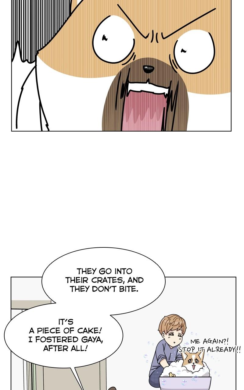 The Dog Diaries Chap 141 - Next Chap 142