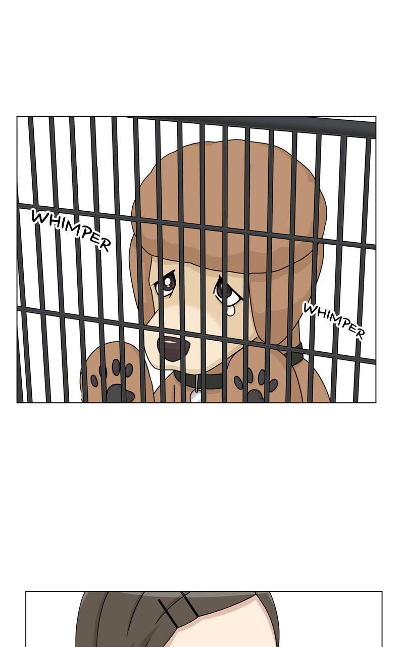 The Dog Diaries Chap 155 - Next Chap 156