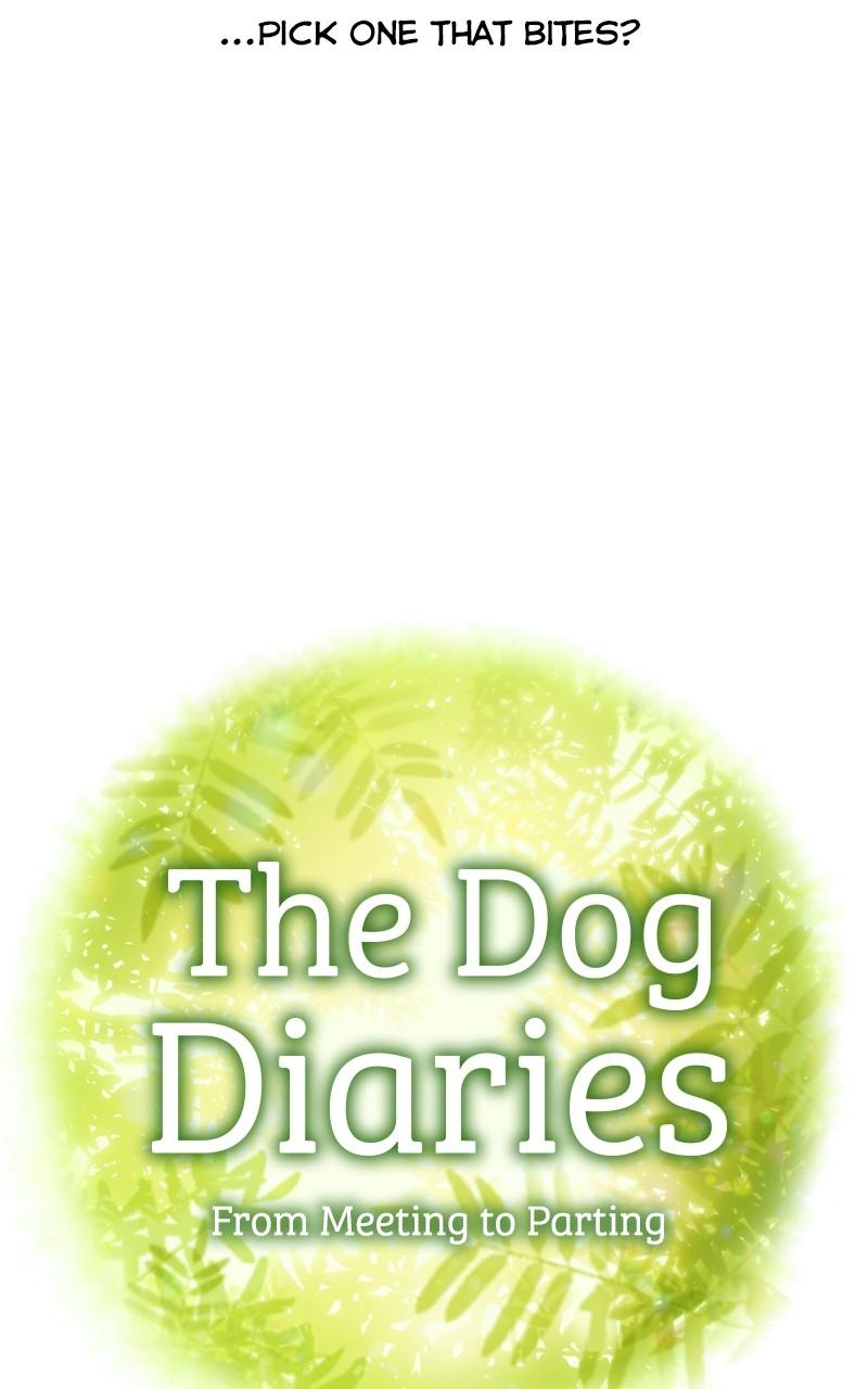 The Dog Diaries Chap 153 - Next Chap 154