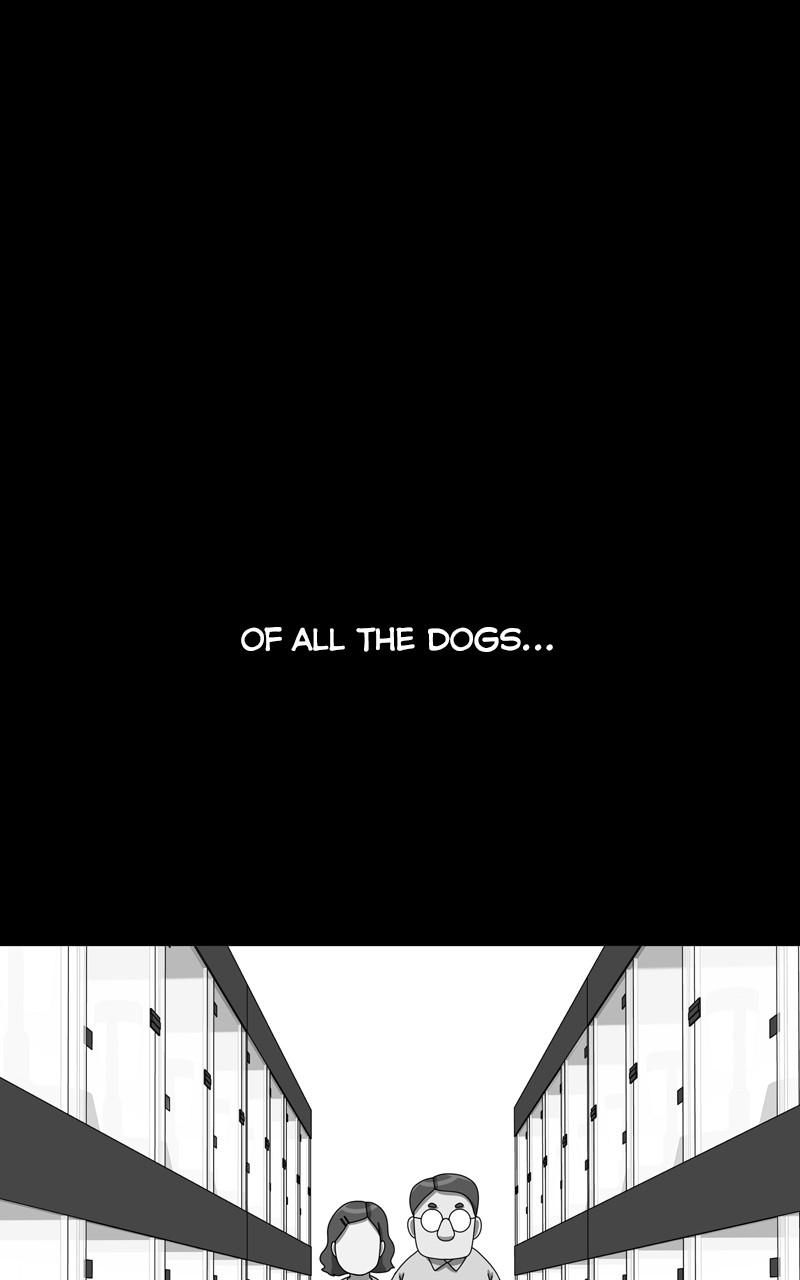 The Dog Diaries Chap 153 - Next Chap 154