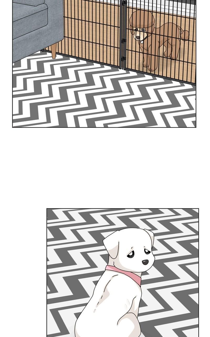 The Dog Diaries Chap 154 - Next Chap 155