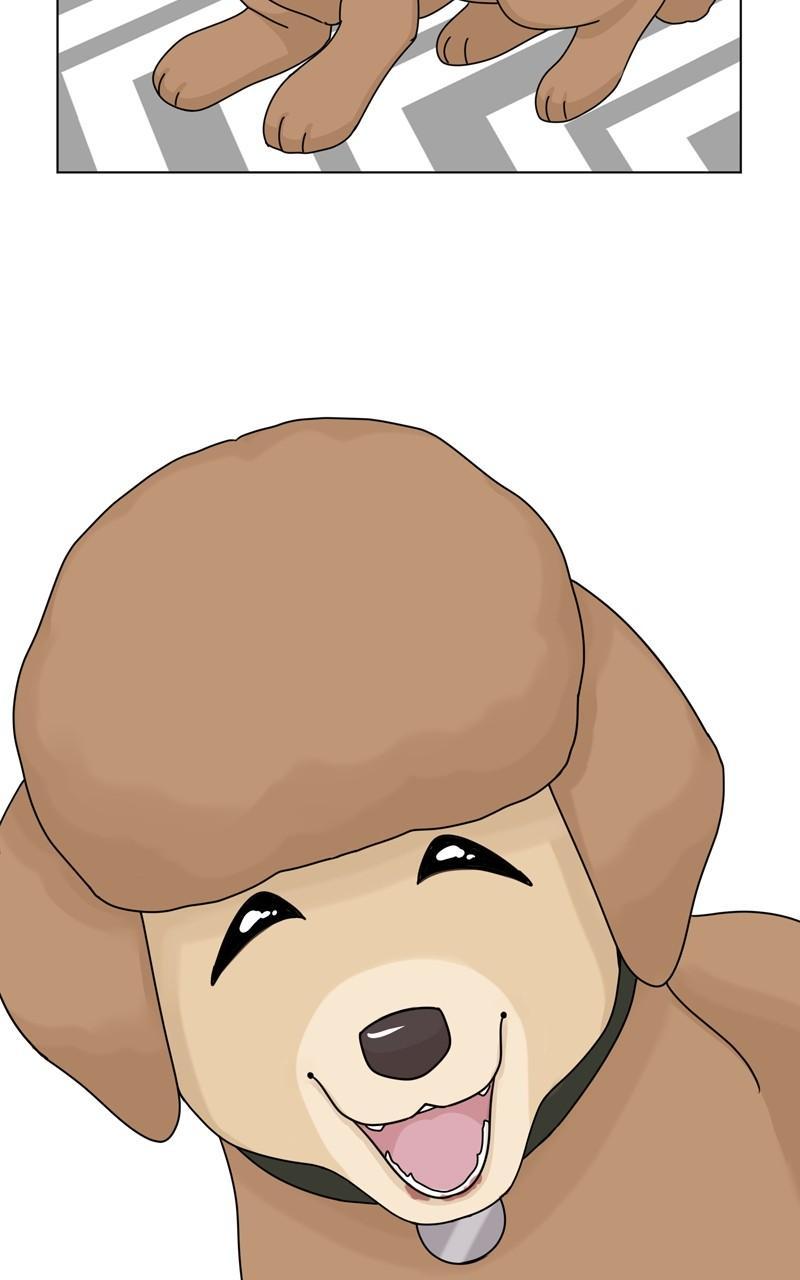 The Dog Diaries Chap 154 - Next Chap 155