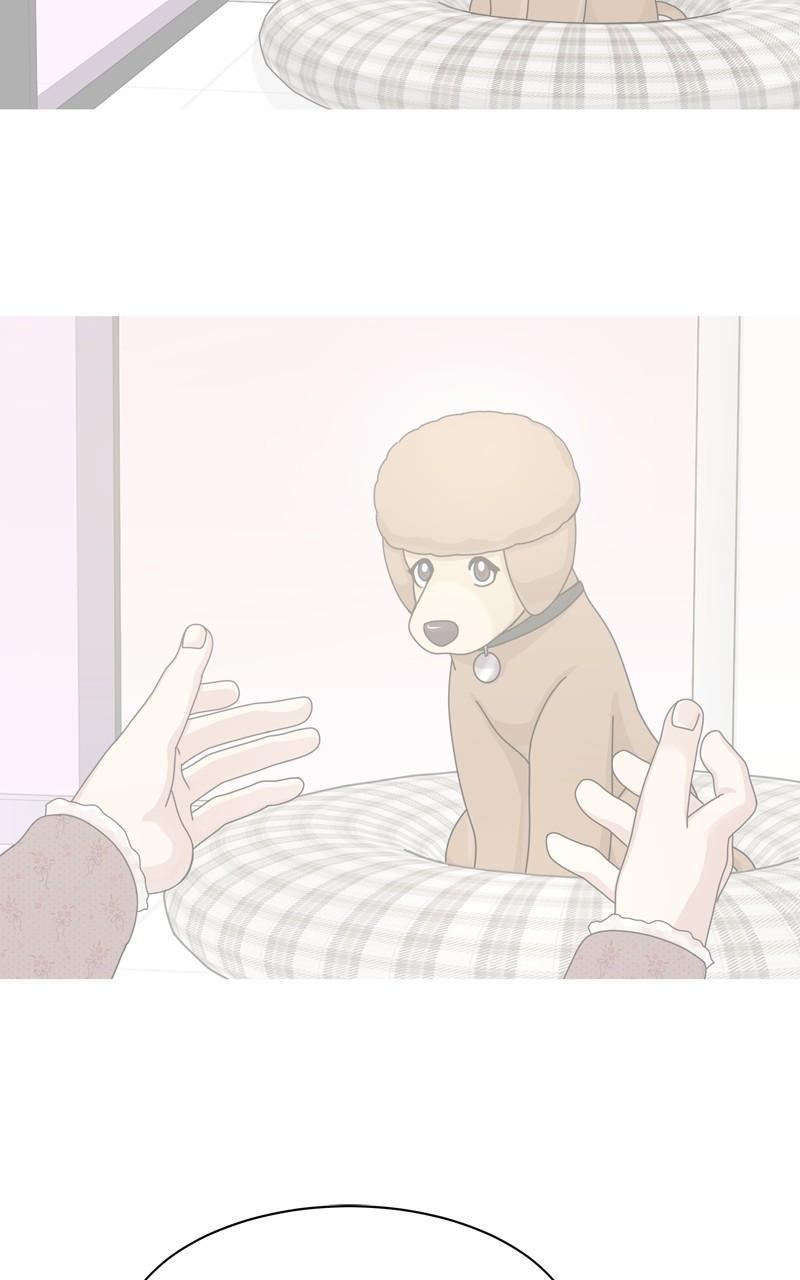 The Dog Diaries Chap 156 - Next Chap 157