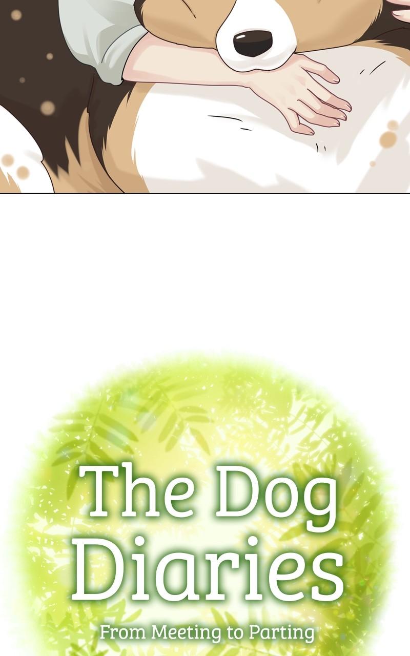 The Dog Diaries Chap 157 - Next Chap 158
