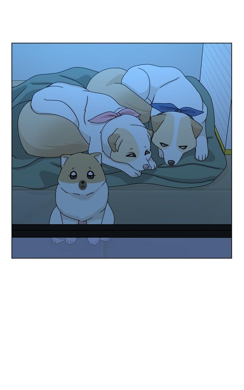 The Dog Diaries Chap 148 - Next Chap 149