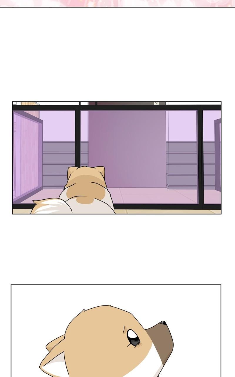 The Dog Diaries Chap 148 - Next Chap 149