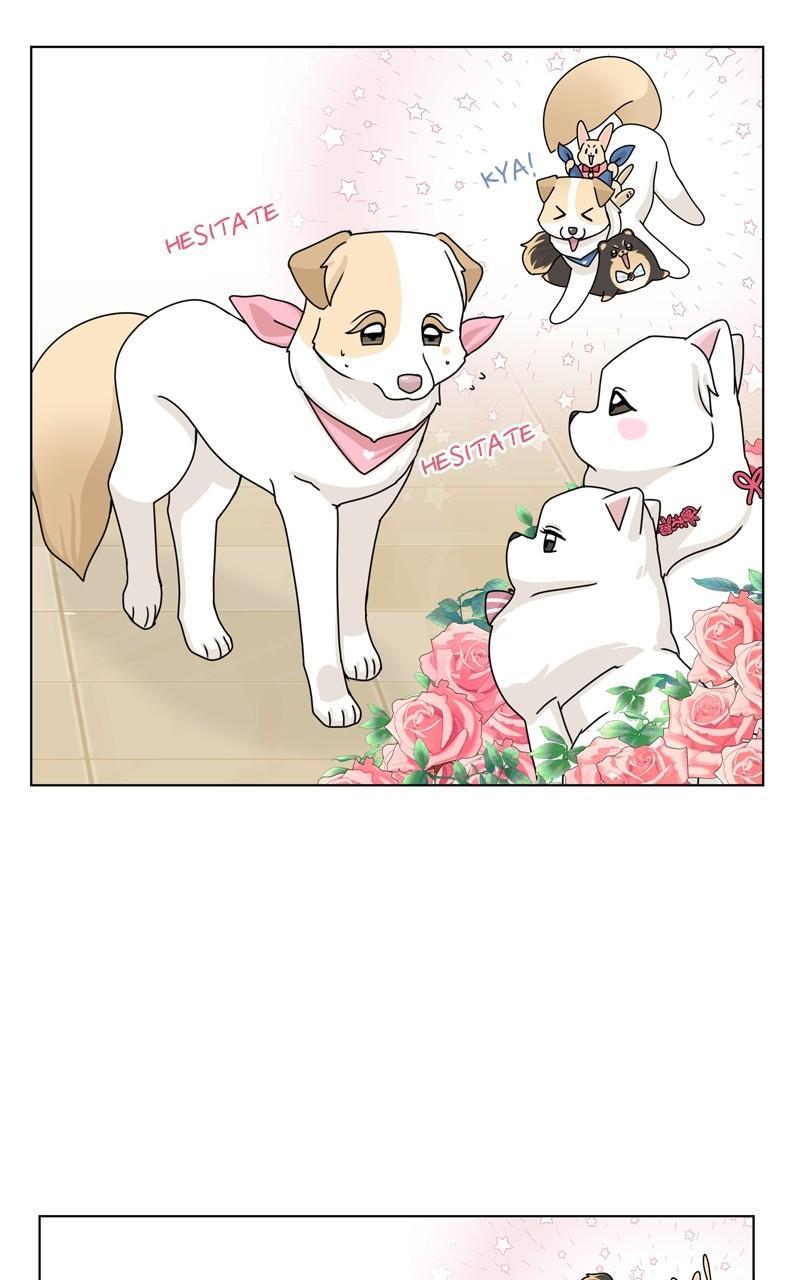 The Dog Diaries Chap 148 - Next Chap 149