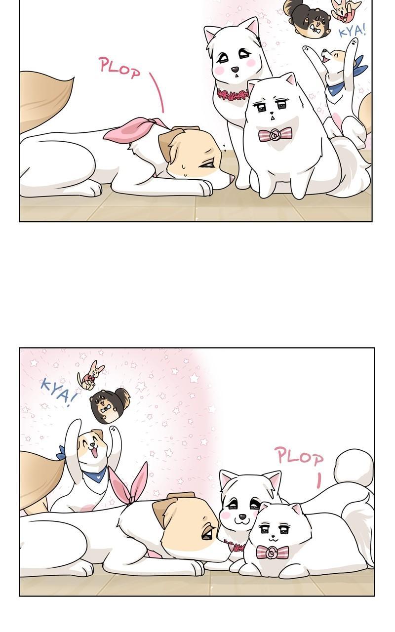The Dog Diaries Chap 148 - Next Chap 149
