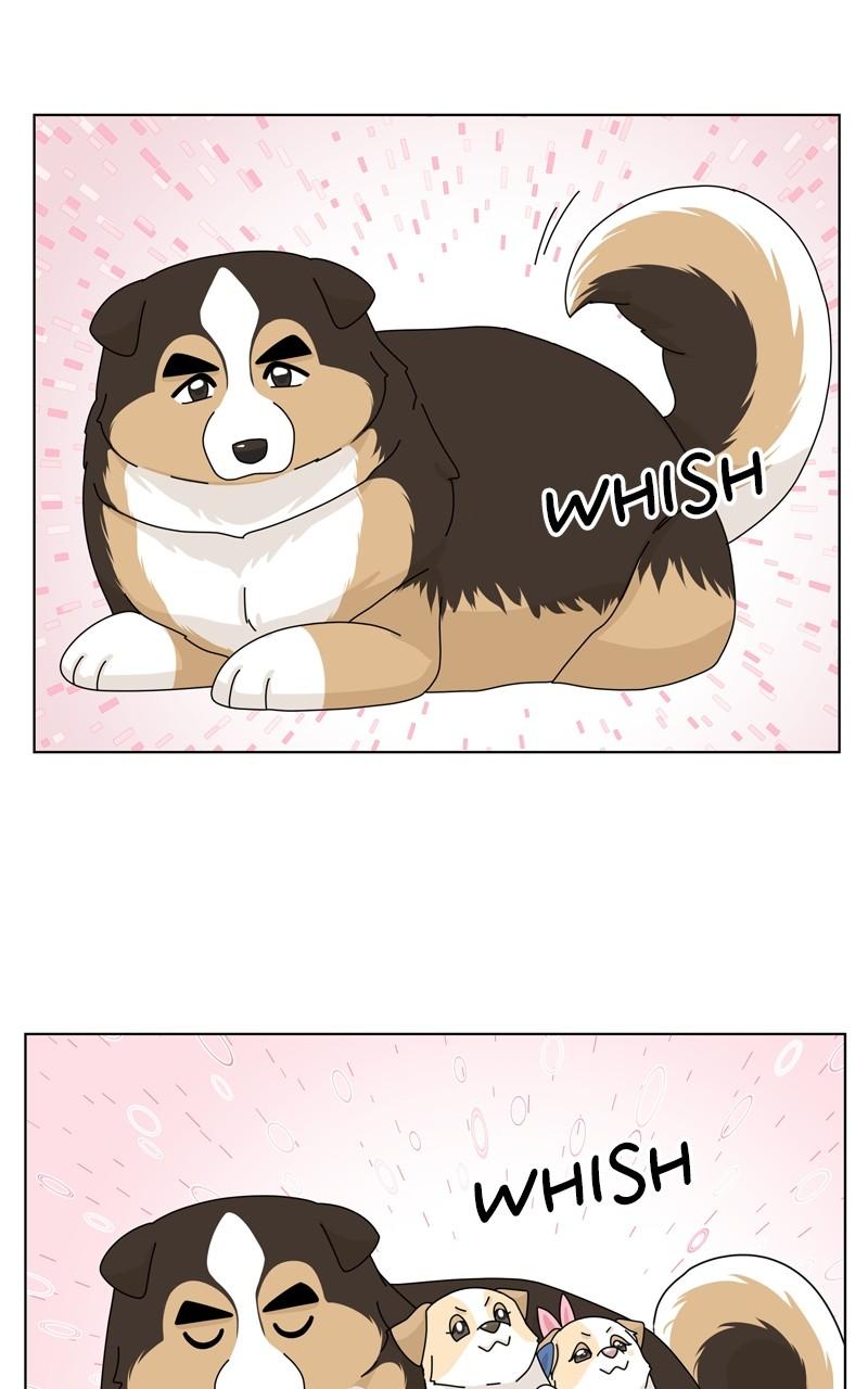 The Dog Diaries Chap 149 - Next Chap 150