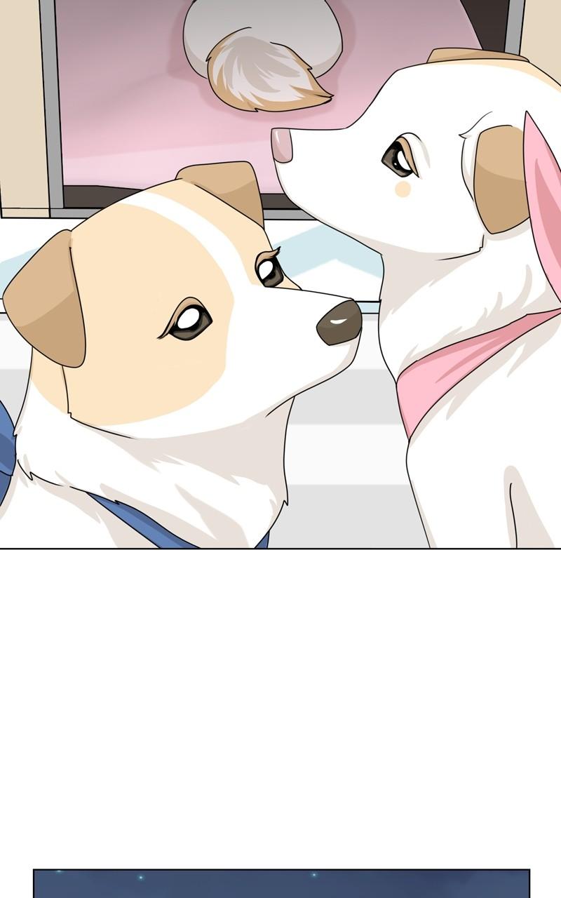 The Dog Diaries Chap 149 - Next Chap 150