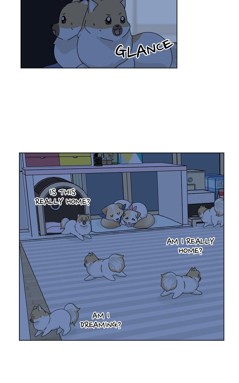 The Dog Diaries Chap 149 - Next Chap 150