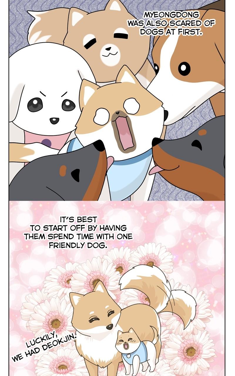The Dog Diaries Chap 149 - Next Chap 150