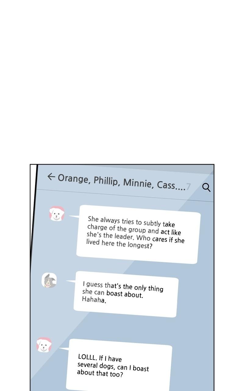 The Dog Diaries Chap 150 - Next Chap 151