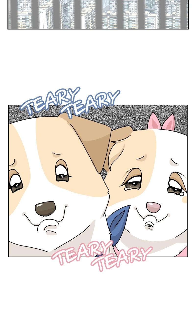 The Dog Diaries Chap 150 - Next Chap 151