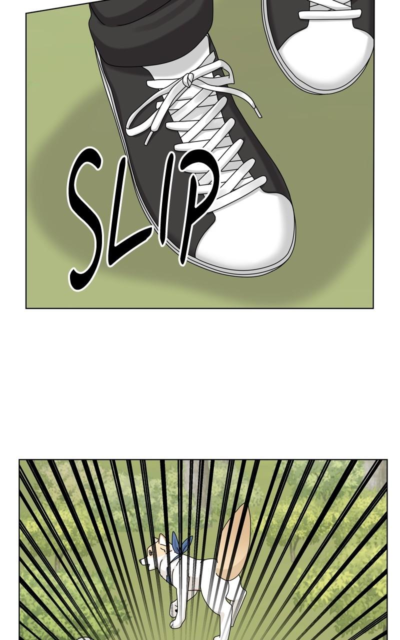 The Dog Diaries Chap 165 - Next Chap 166