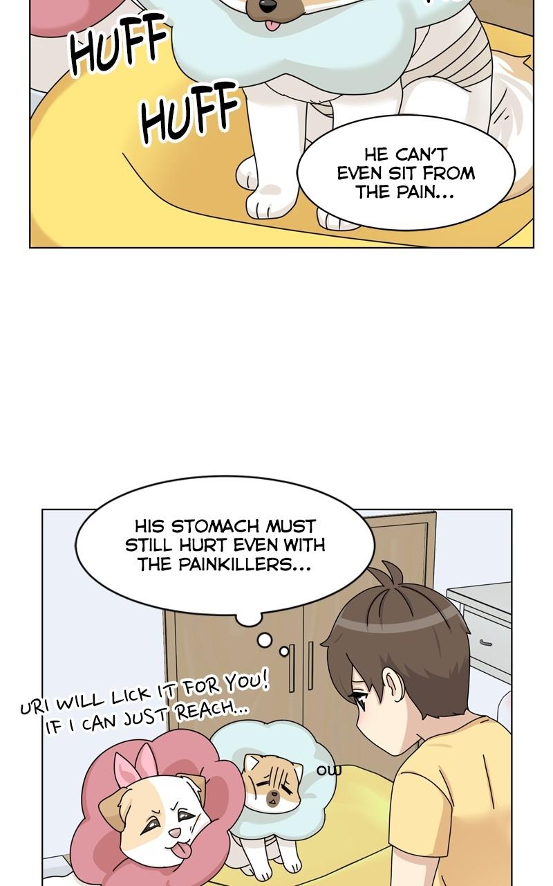 The Dog Diaries Chap 165 - Next Chap 166