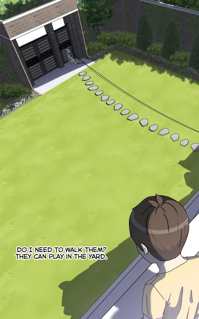 The Dog Diaries Chap 165 - Next Chap 166