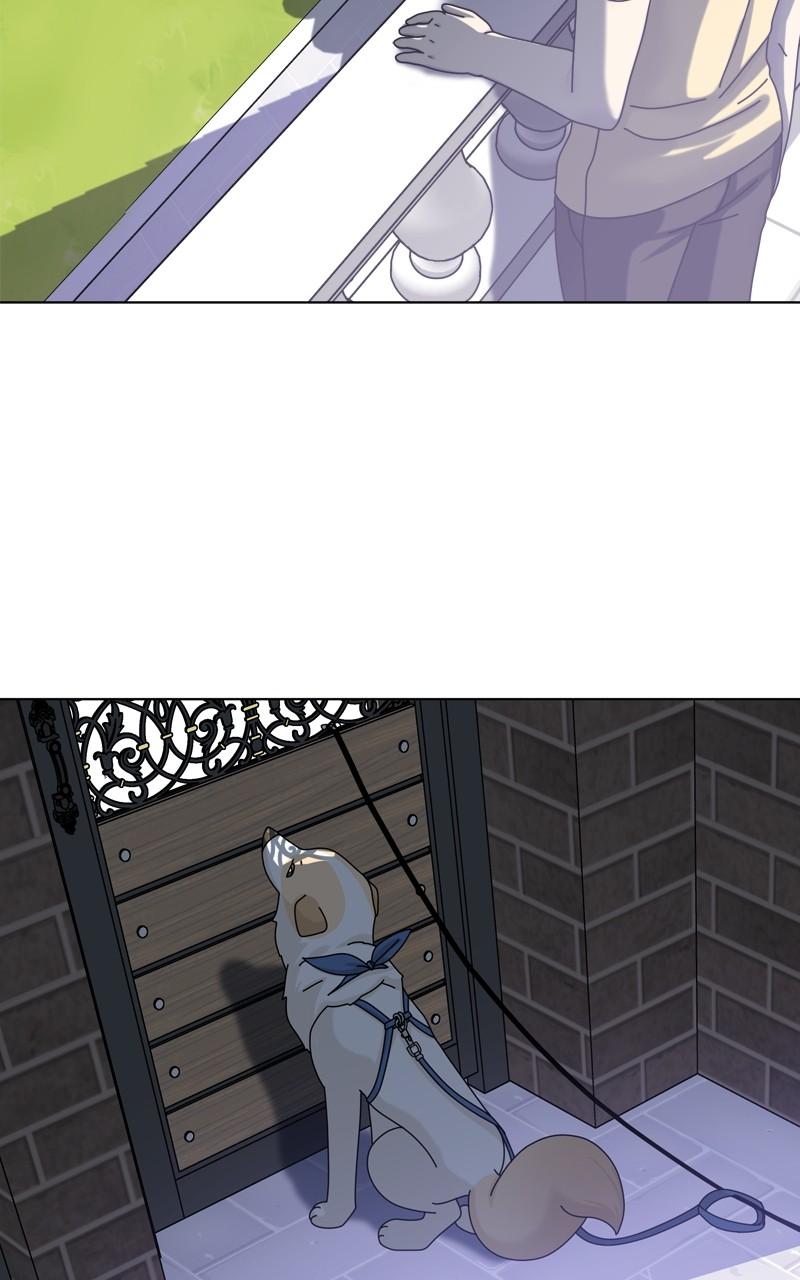 The Dog Diaries Chap 165 - Next Chap 166