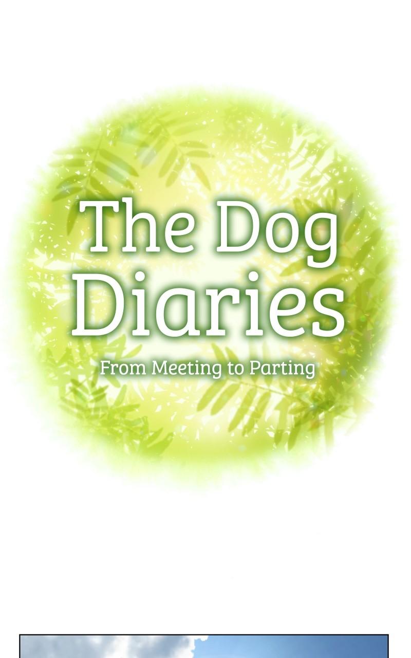 The Dog Diaries Chap 165 - Next Chap 166