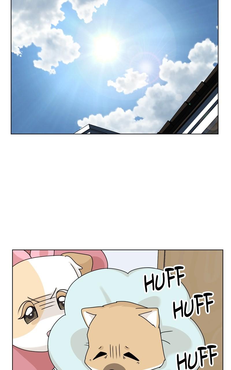 The Dog Diaries Chap 165 - Next Chap 166