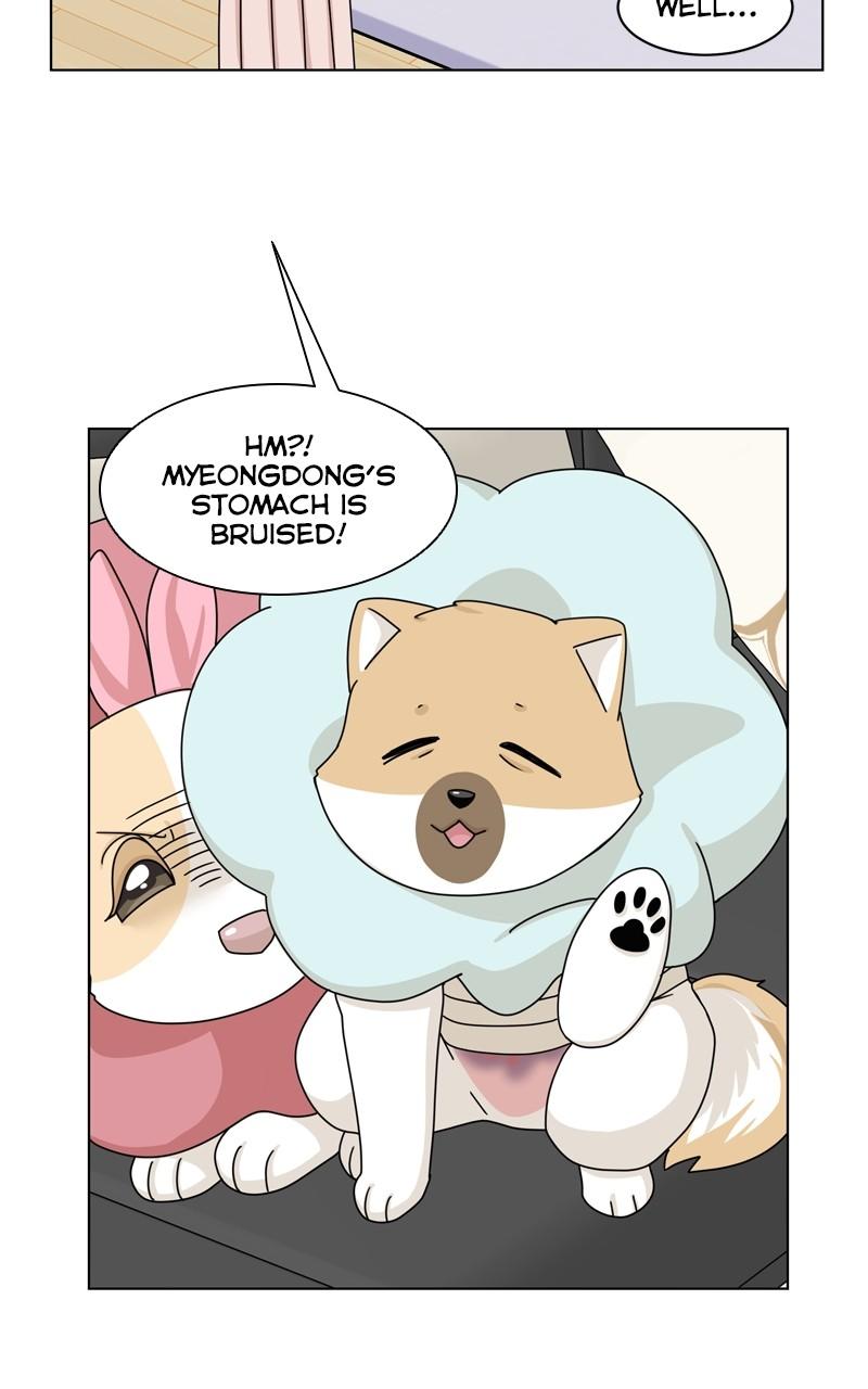 The Dog Diaries Chap 165 - Next Chap 166