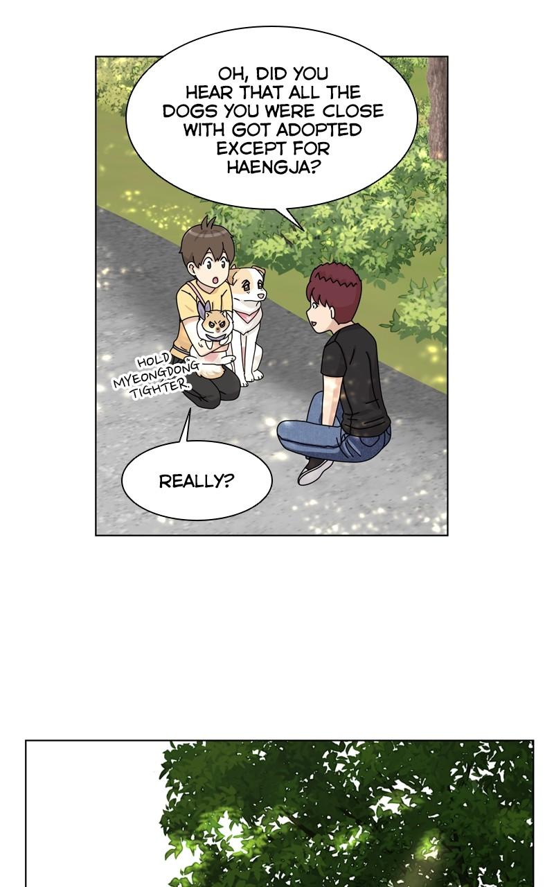 The Dog Diaries Chap 162 - Next Chap 163