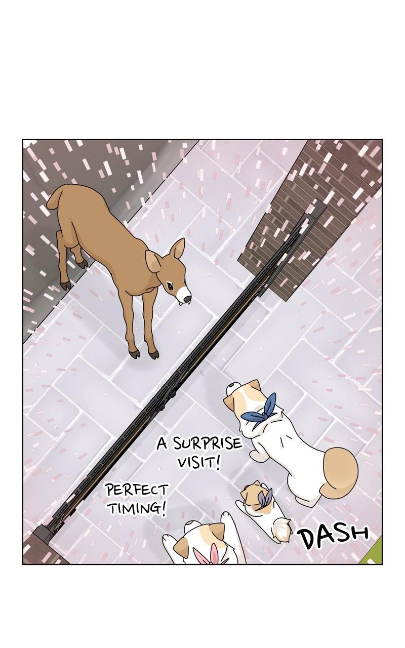 The Dog Diaries Chap 163 - Next Chap 164