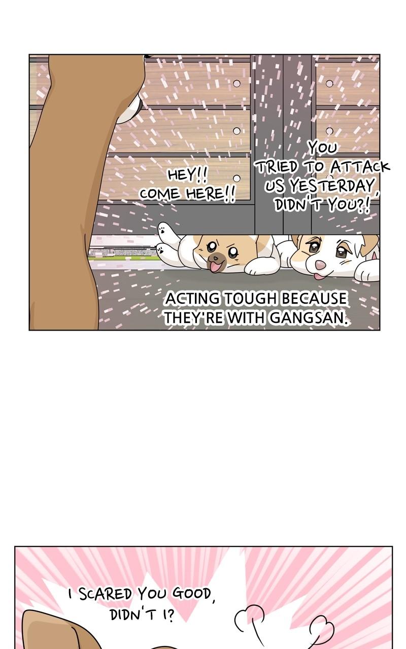 The Dog Diaries Chap 163 - Next Chap 164