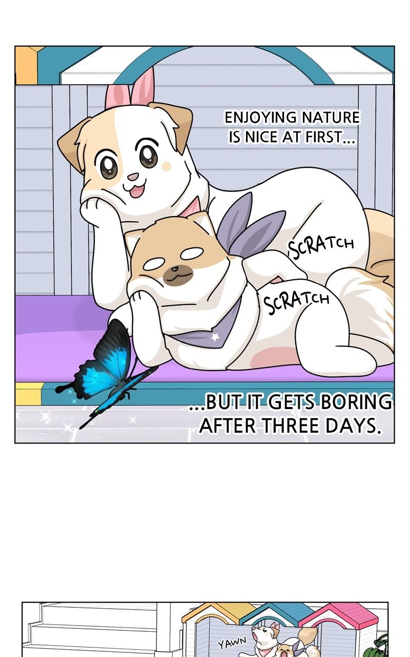 The Dog Diaries Chap 163 - Next Chap 164