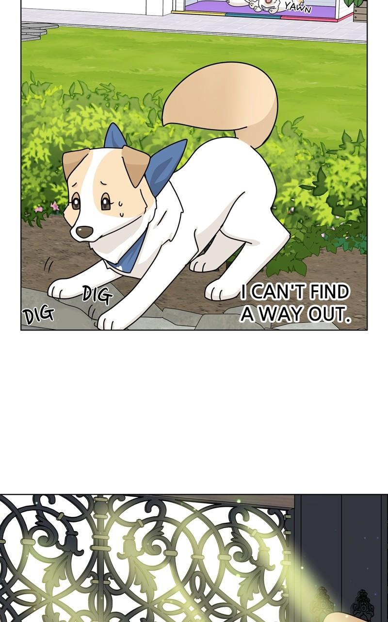 The Dog Diaries Chap 163 - Next Chap 164