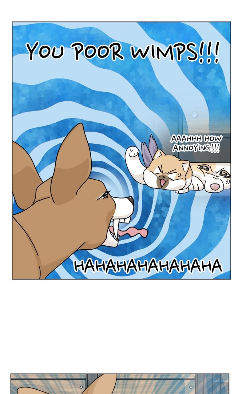The Dog Diaries Chap 163 - Next Chap 164