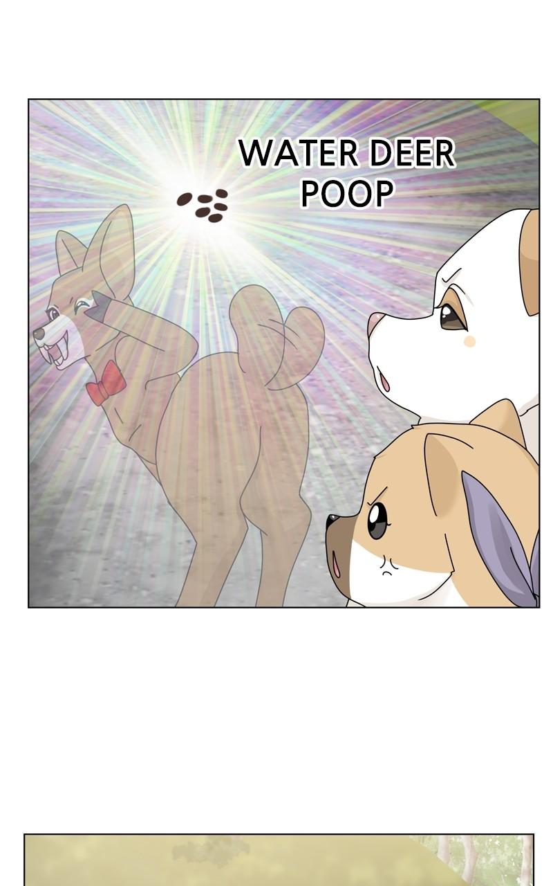 The Dog Diaries Chap 163 - Next Chap 164