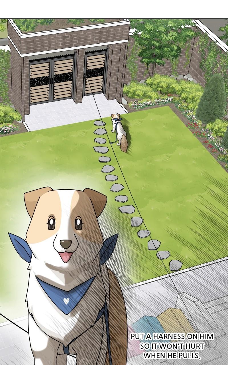 The Dog Diaries Chap 163 - Next Chap 164