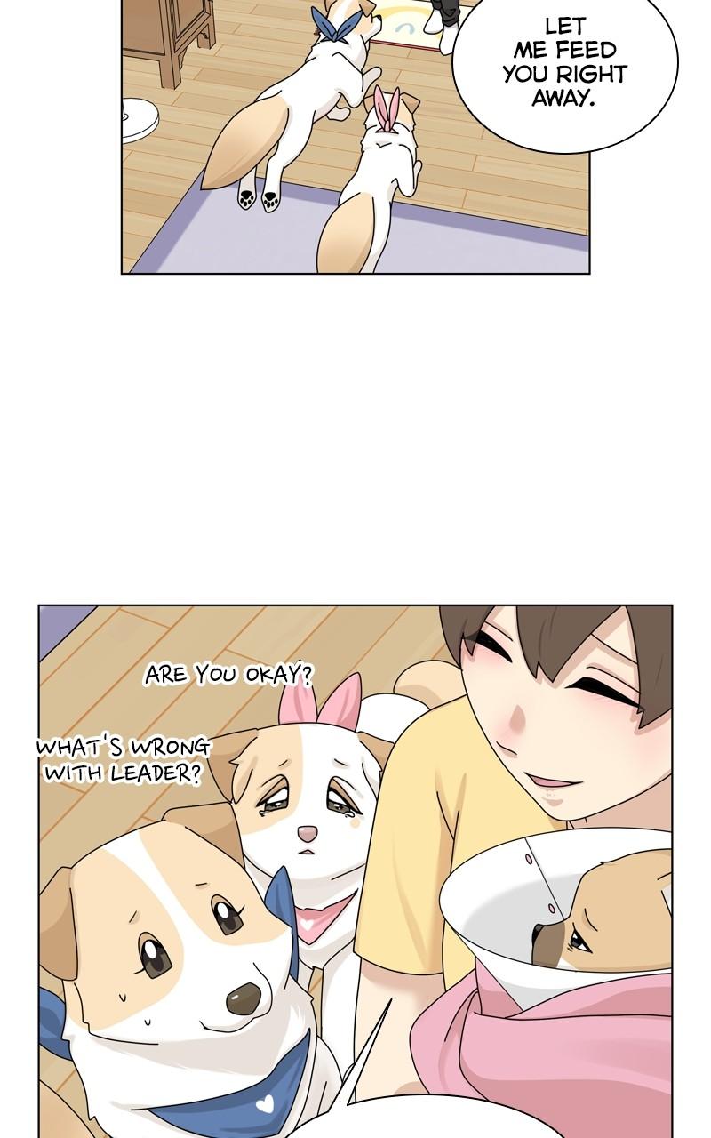 The Dog Diaries Chap 164 - Next Chap 165