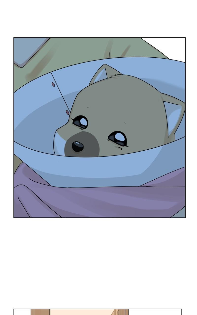 The Dog Diaries Chap 164 - Next Chap 165